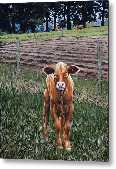 Cow Metal Print featuring the painting Curious Calf #1 by Rick McKinney