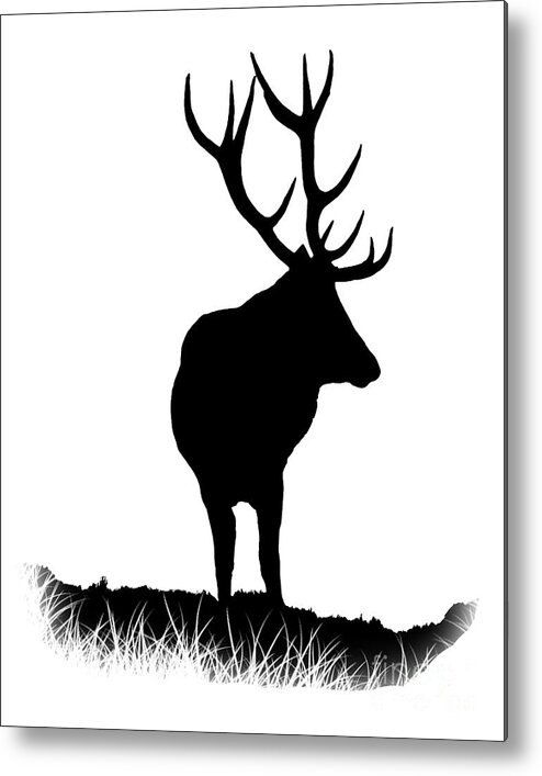 Stag Metal Print featuring the photograph Monarch Of The Park #1 by Linsey Williams