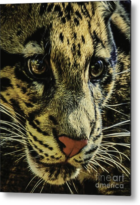 Big Cats Metal Print featuring the photograph Shy #1 by Ken Frischkorn