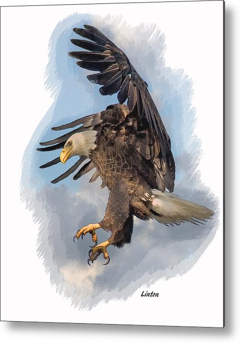 American Bald Eagle Metal Print featuring the digital art American Bald Eagle #2 by Larry Linton