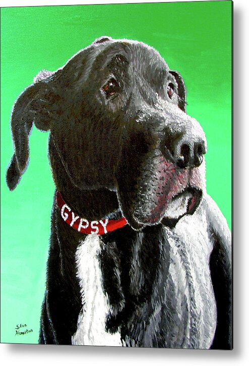 Dog Portrait Metal Print featuring the painting Gypsy by Stan Hamilton