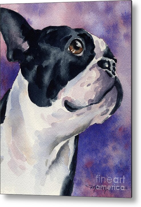 Boston Metal Print featuring the painting Boston Terrier #2 by David Rogers