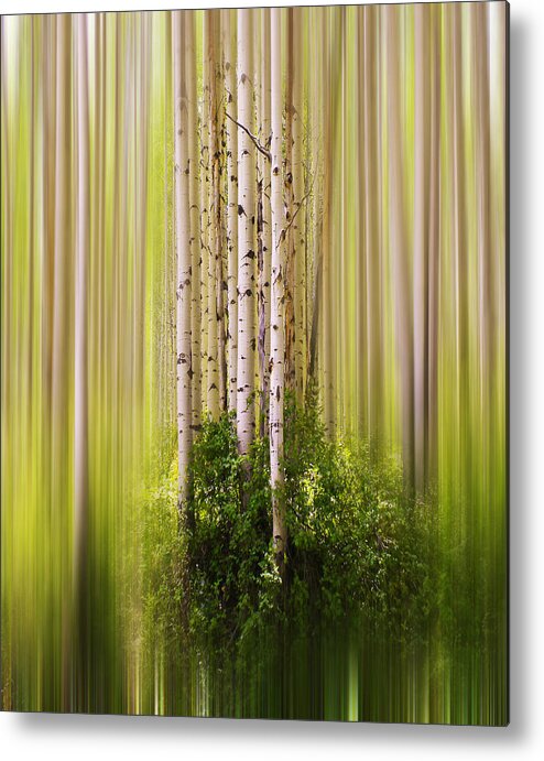 Trees Metal Print featuring the photograph 4012 by Peter Holme III