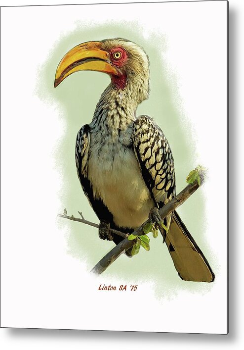 African Hornbill Metal Print featuring the digital art African Hornbill by Larry Linton