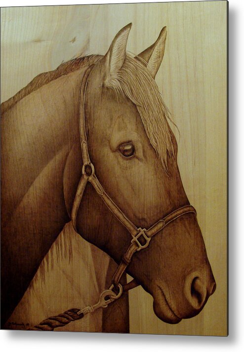 Pyrography; Woodburning; Sepia; Horse; Equestrian; Metal Print featuring the pyrography Alert by Jo Schwartz