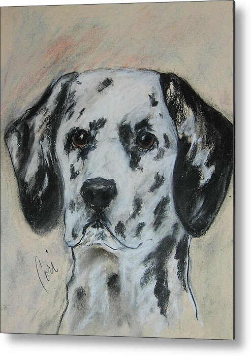Dalmatian Metal Print featuring the drawing All Spots by Cori Solomon
