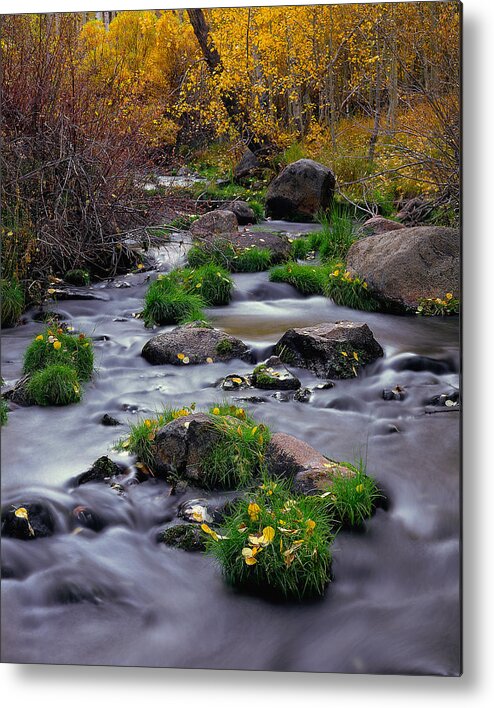 Landscape Metal Print featuring the photograph Autumn On Mill Creek by Paul Breitkreuz