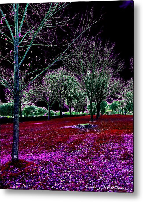 Landscape Metal Print featuring the photograph Autumnal Reversography by Kimmary MacLean