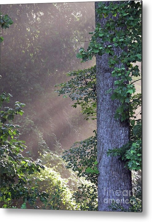 Tree Metal Print featuring the photograph Backyard Forest Atlanta by Lizi Beard-Ward