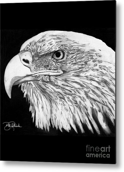 Eagle Metal Print featuring the drawing Bald Eagle #4 by Bill Richards