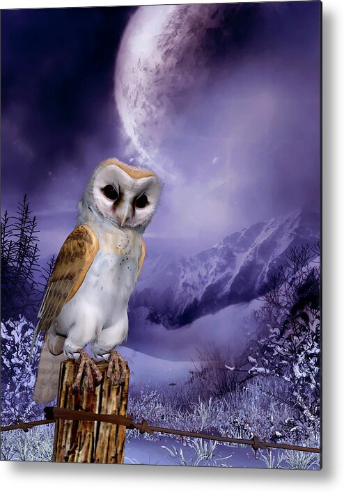 Animals Metal Print featuring the digital art Barn Owl - Winter Scene by John Junek