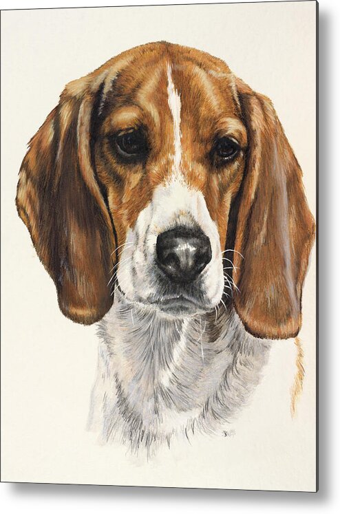 Dog Metal Print featuring the painting Beagle in Watercolor by Barbara Keith