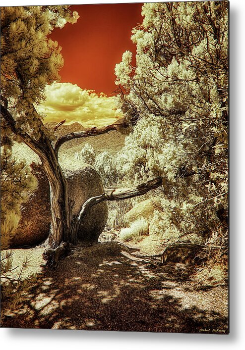 Tree Metal Print featuring the photograph Bent, But Not Broken by Michael McKenney