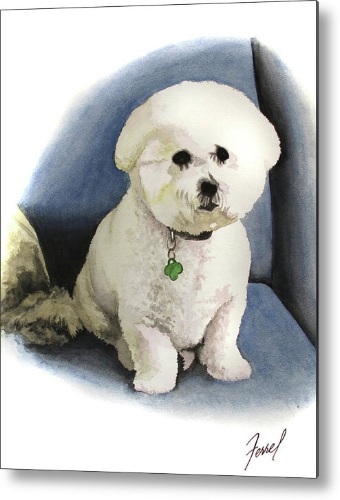 Bichon Metal Print featuring the painting Bichon Sonny by Ferrel Cordle