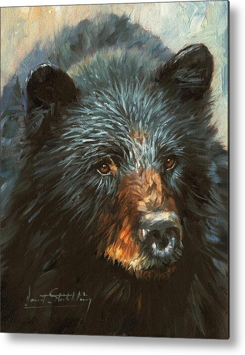 Bear Metal Print featuring the painting Black Bear by David Stribbling