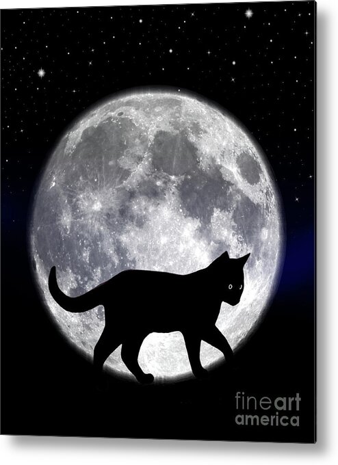 Halloween Metal Print featuring the photograph Black Cat And Full Moon 2 by Nina Ficur Feenan