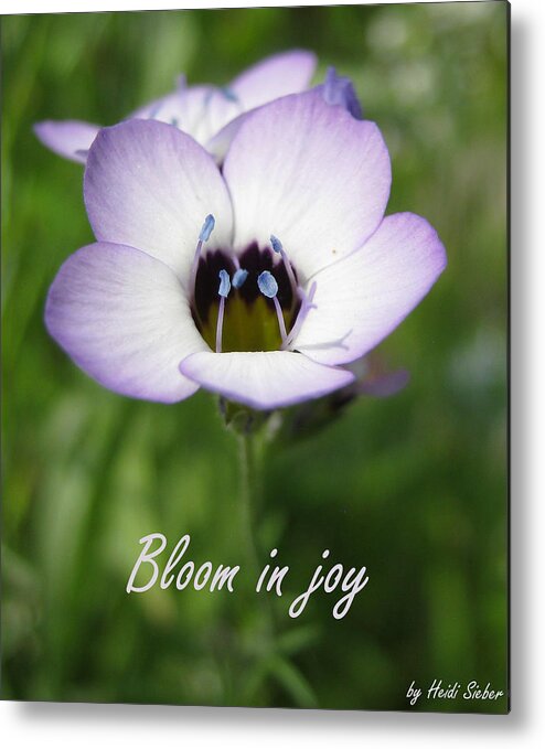Flower Metal Print featuring the photograph Bloom in joy by Heidi Sieber