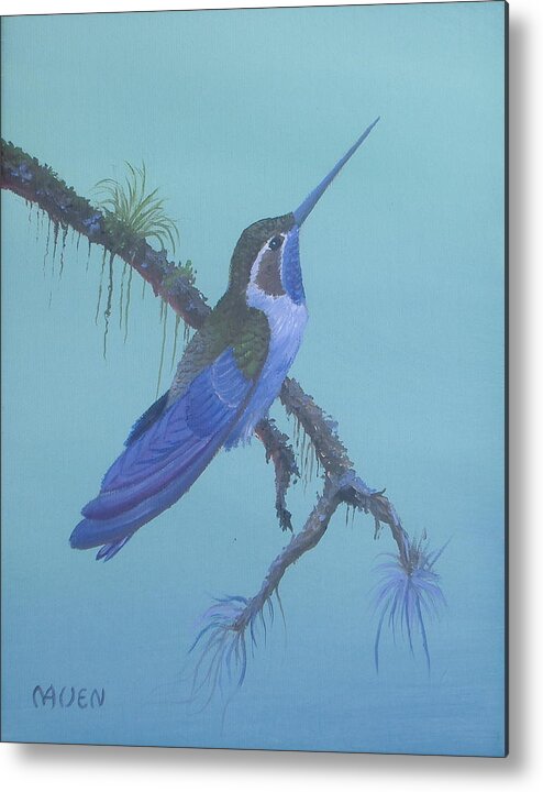 Hummingbird Paintings Metal Print featuring the painting Blue Forest Nymph by Michael Allen