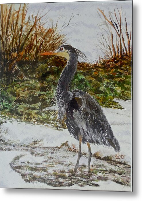 Watercolour Painting Metal Print featuring the painting Blue Heron by Sher Nasser