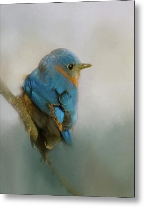 Eastern Metal Print featuring the photograph Bluebird by Lana Trussell