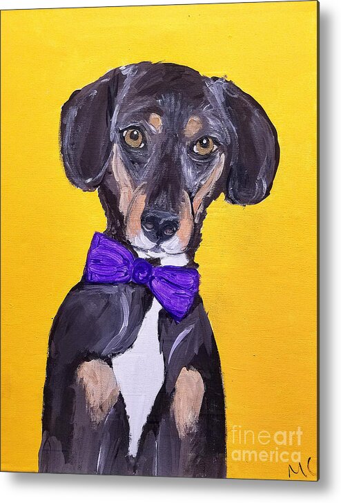 Pet Portrait Metal Print featuring the painting Brady Date With Paint Nov 20th by Ania M Milo