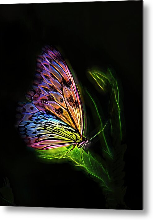 Fantasy Metal Print featuring the digital art Butterfly Fantasy 2a by Walter Herrit