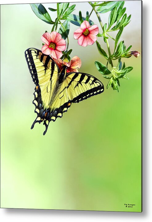 Yellow Butterfly Metal Print featuring the photograph Butterfly in my Garden by Peg Runyan