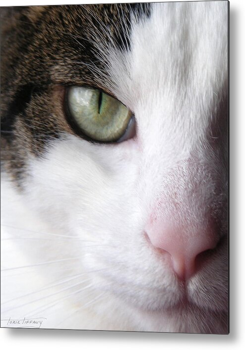 Faunagraphs Metal Print featuring the photograph C5 Yoshua by Torie Tiffany
