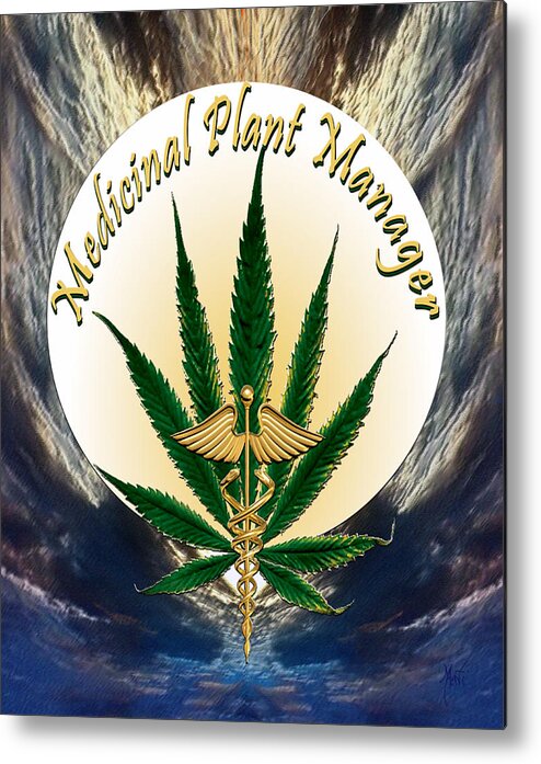 Cannabis Metal Print featuring the photograph Cannabis Medicinal Plant by Michele Avanti