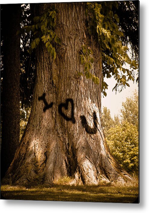 Tree Metal Print featuring the photograph Carve I Love You In That Big White Oak by Trish Tritz