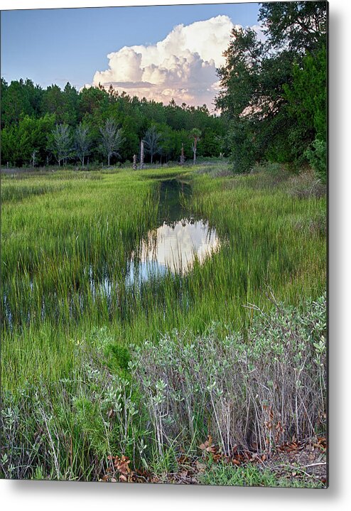 Seabrook Island Metal Print featuring the photograph Cloud Over Marsh by Patricia Schaefer