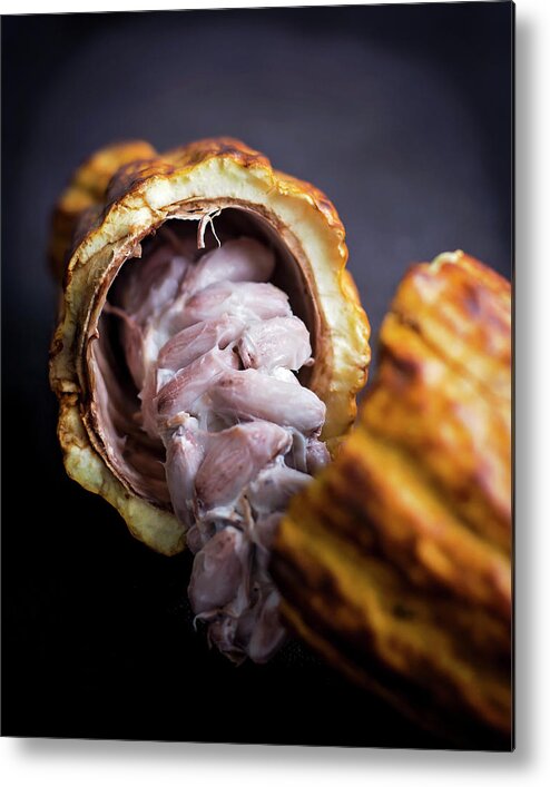 Cocoa Metal Print featuring the photograph Cocoa by Heather Applegate