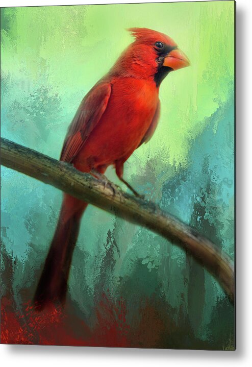 Cardinal Metal Print featuring the photograph Colorful Cardinal by Barbara Manis