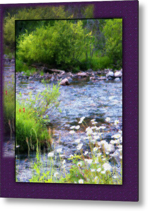 River Metal Print featuring the photograph Creek Daisys by Susan Kinney