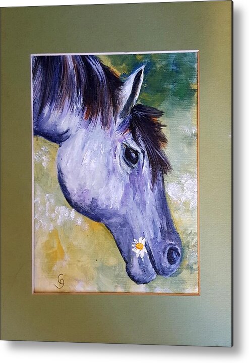 Daisy Metal Print featuring the painting Daisy The Old Mare   52 by Cheryl Nancy Ann Gordon