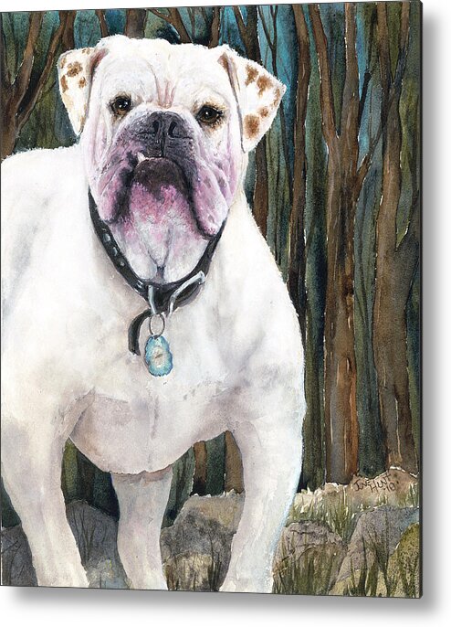 Pet Metal Print featuring the painting English Bulldog by June Hunt
