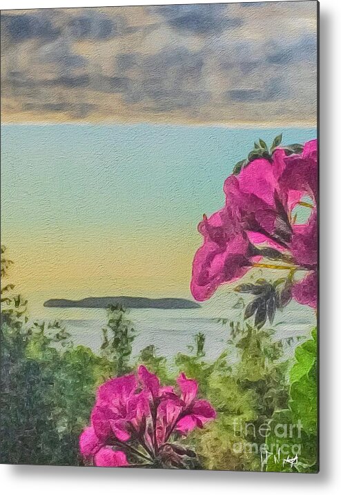 Digital Metal Print featuring the photograph Islands of the Salish Sea by William Wyckoff