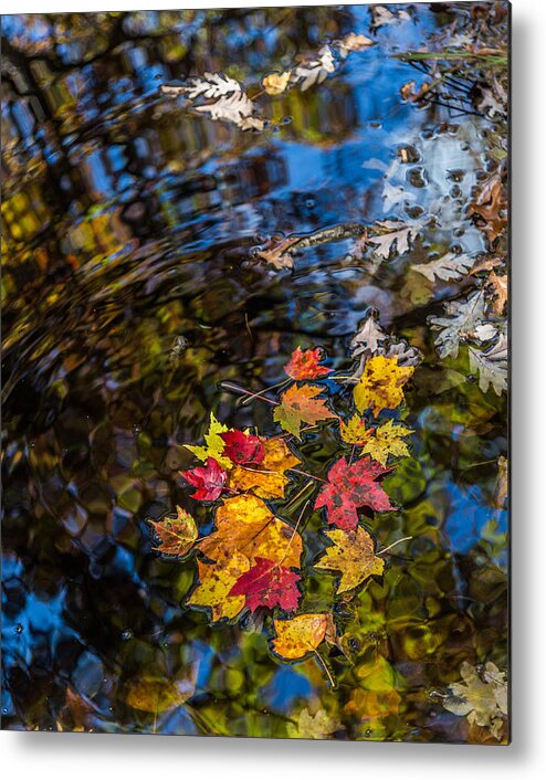 Pisgah National Forest Metal Print featuring the photograph Fall Reflection - Pisgah National Forest by Donnie Whitaker