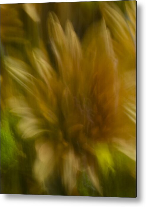 Mums Metal Print featuring the photograph Floral Abstract by Cheryl Day