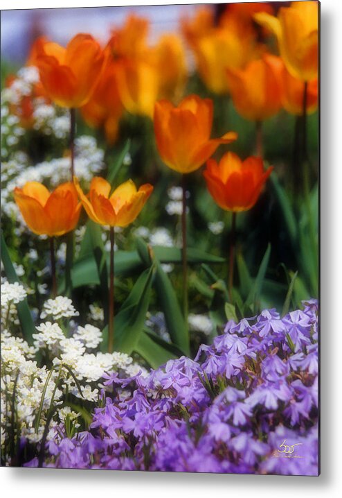 Flowers Metal Print featuring the photograph Flower Garden by Sam Davis Johnson