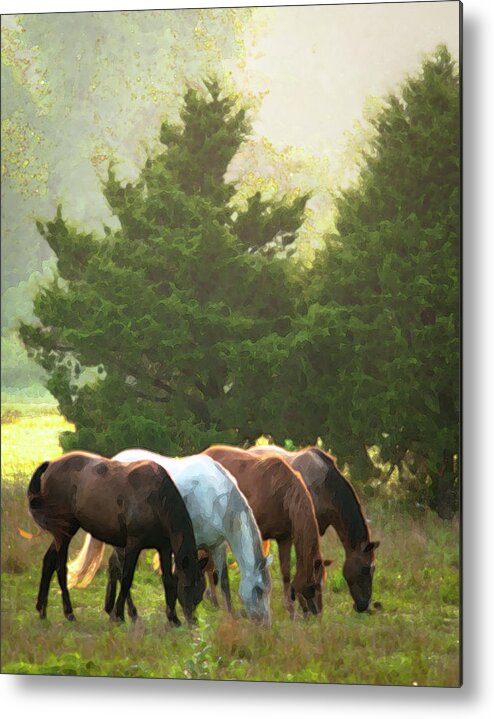 Equine Painting Metal Print featuring the photograph Four of a Kind by Ron McGinnis