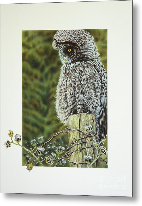 Owl Metal Print featuring the painting Great Grey Owl by Greg and Linda Halom