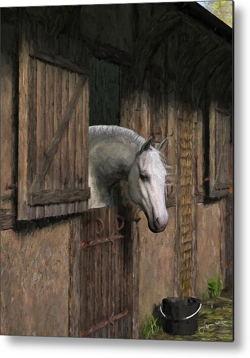 Horse Metal Print featuring the digital art Grey Horse in the Stable - Waiting for Dinner by Jayne Wilson