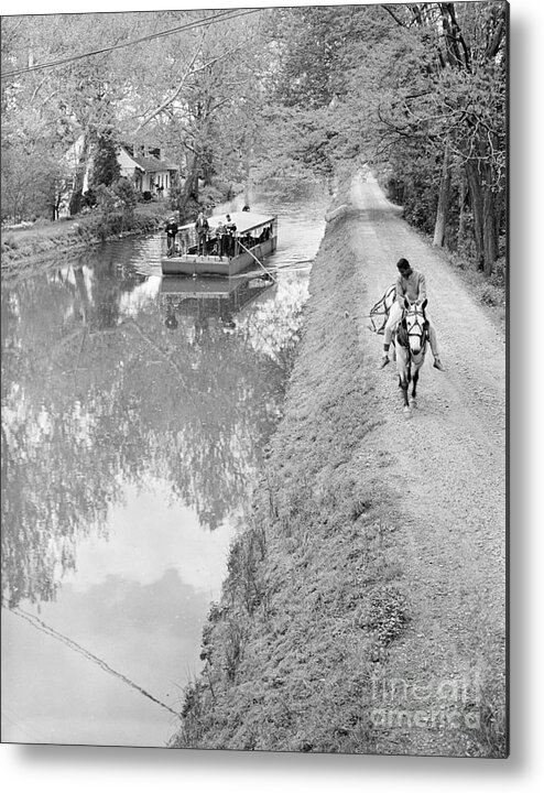 1960s Metal Print featuring the photograph Horse-drawn Canal Boat, C.1960s by G Hampfler and ClassicStock