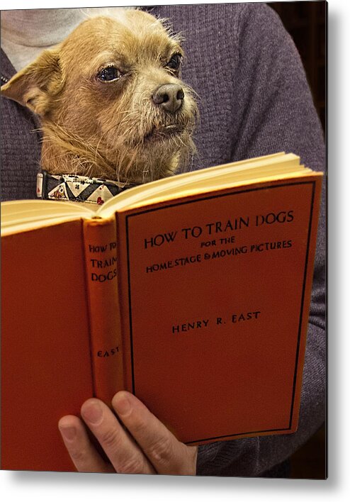 Dog Metal Print featuring the photograph How to Train Dogs by Mitch Spence