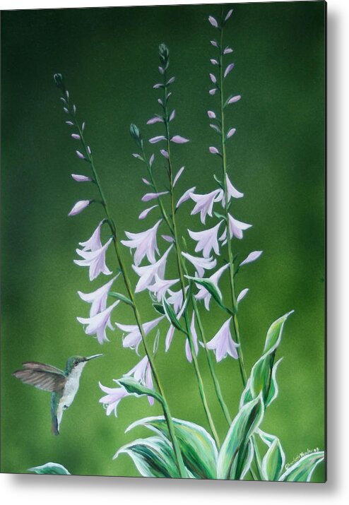 Bird Metal Print featuring the painting Hummingbird by Charlotte Yealey