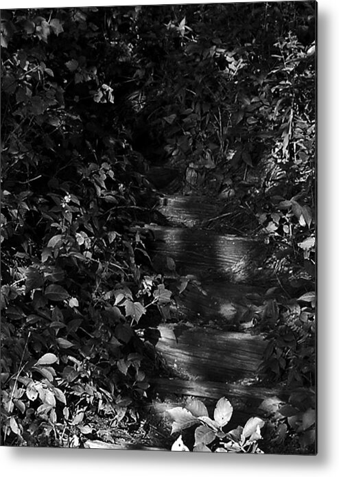 Wooded Stairs Metal Print featuring the photograph Into the Shadows by Scott Heister