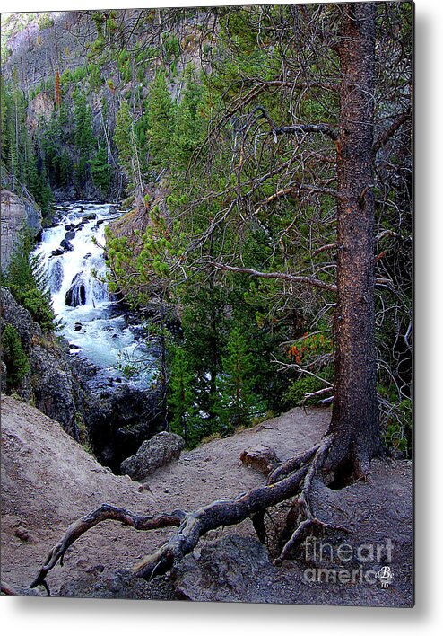 Diane Berry Metal Print featuring the photograph Into The Wild by Diane E Berry