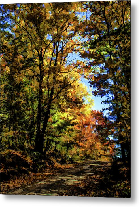 2006 Metal Print featuring the photograph Into the Woods by Monroe Payne