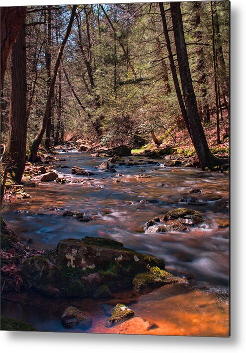 Tuscarora State Forest Metal Print featuring the photograph Laurel Run - Tuscarora State Forest by Kristia Adams
